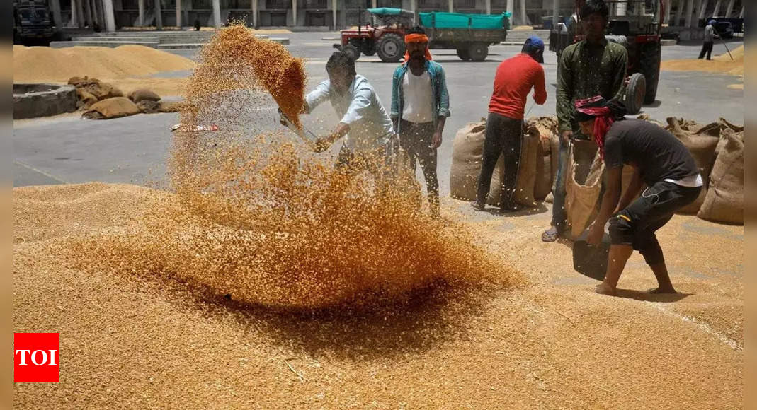 Who is responsible for the global wheat crisis?