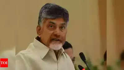 Chandrababu Naidu predicts mid-term polls for Andhra assembly, asks cadres to stay alert