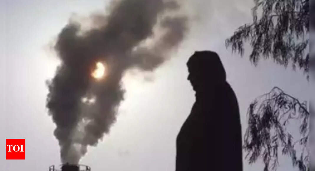 &lsquo;At 2.4 million in 2019, India led world in pollution deaths&rsquo;