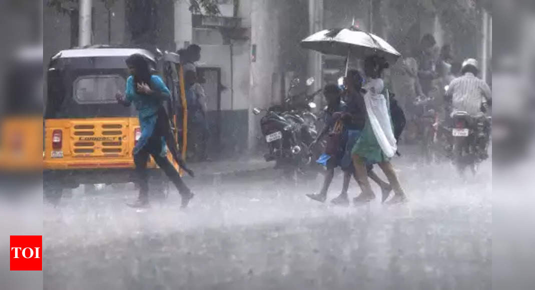 Live: TN to get more showers in coming days, says Met