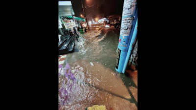 Not EVs, roads in Bengaluru require amphibious vehicles: Netizens