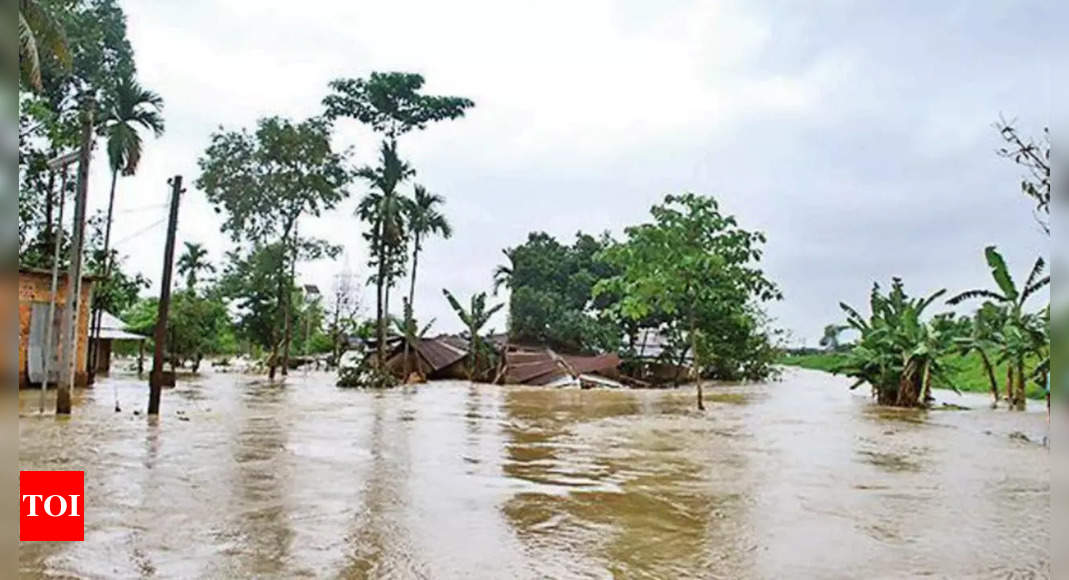 Imd: IMD predicts more rainfall over northeast in next four days ...