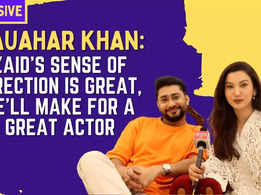 I will give full marks to Gauahar Khan as a co-star: Zaid Darbar