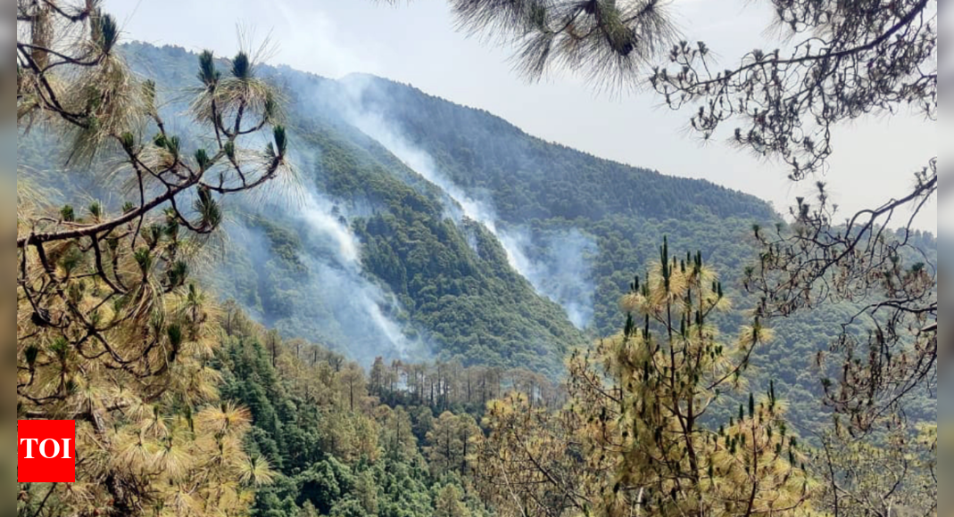 J&K: Forest fire tirggers landmines blasts along LoC in Poonch