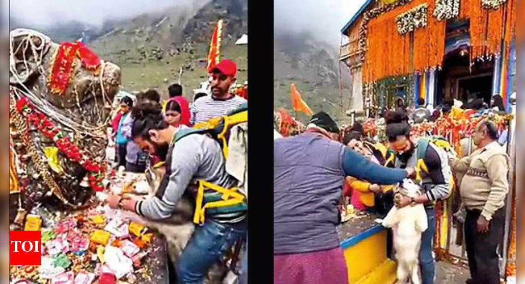 Kedarnath Uttarakhand For video, man gets tilak put on dog at