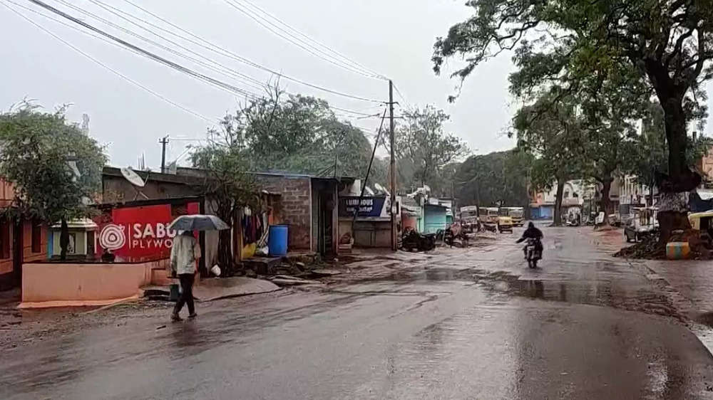 Rain in Karnataka: Photos of flooded streets, uprooted trees