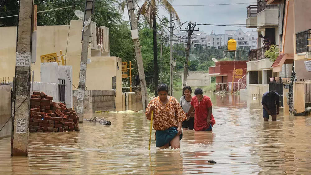 Rain In Karnataka: Photos Of Flooded Streets, Uprooted Trees