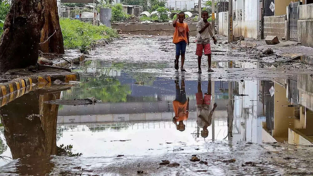 Karnataka rain fury: Photos of flooded streets, uprooted trees