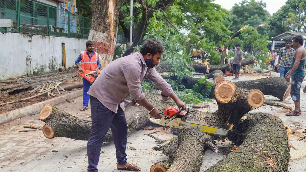 Karnataka rain fury: Photos of flooded streets, uprooted trees