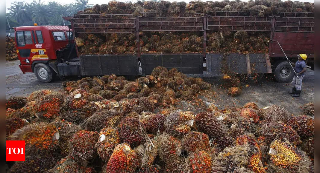 Indonesia Palm Oil Export Ban: Indonesia to lift palm oil export ban from Monday, president says | International Business News – Times of India