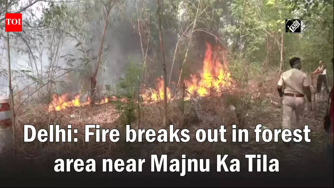 majnu: Delhi: Fire breaks out in forest area near Majnu Ka Tila