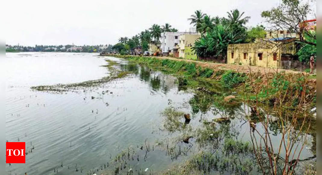 Madras HC to remove encroachments at Chitlapakkam lake