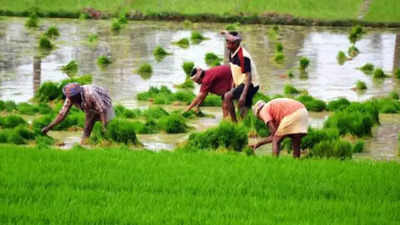 Maharashtra expects larger area to come under agriculture production