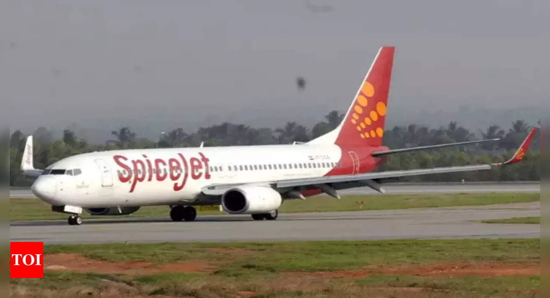 SpiceJet flights stopped at Delhi Airport for non-payment to AAI