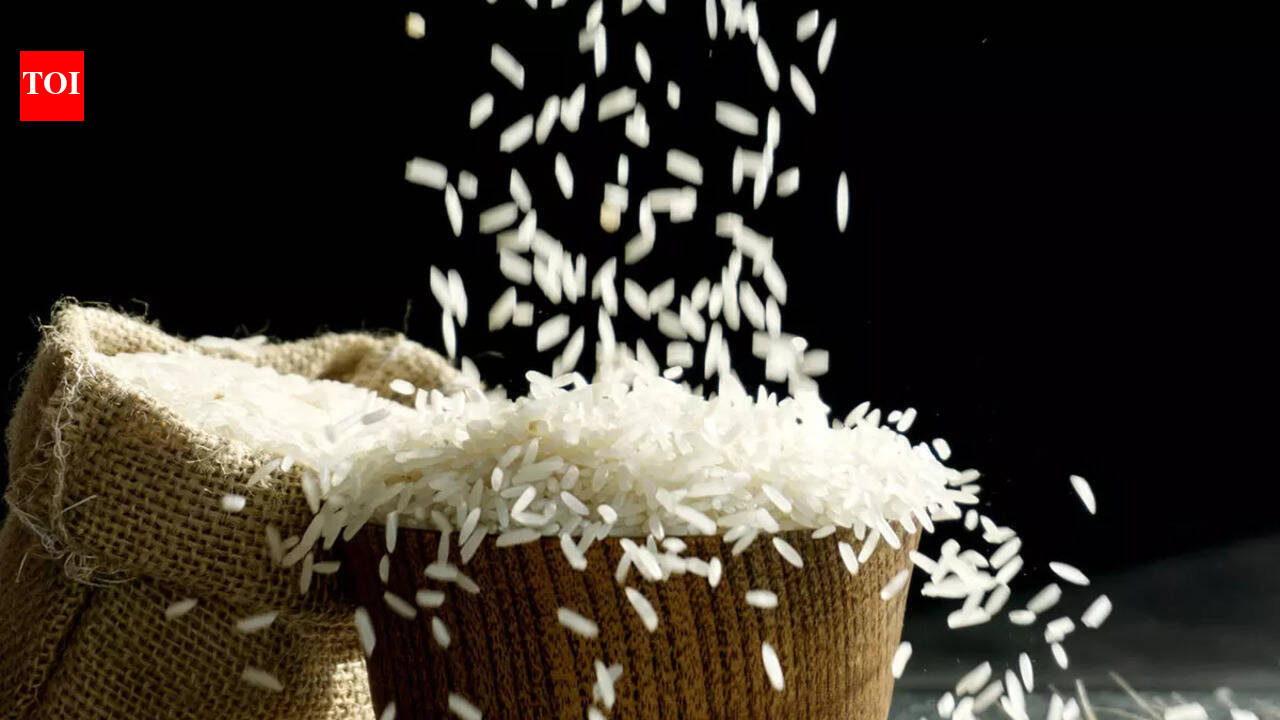 5 easy and nutritious rice recipes for babies and young children