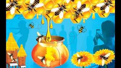 Two Maoist-affected Gadchiroli villages to transform into ‘honey villages’
