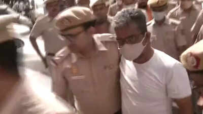 Controversial remarks on shivling: DU Professor Ratan Lal granted bail by Delhi court
