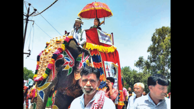 Jumbo celebration in Gujarat: Dalit girl rides elephant at pre-wedding procession