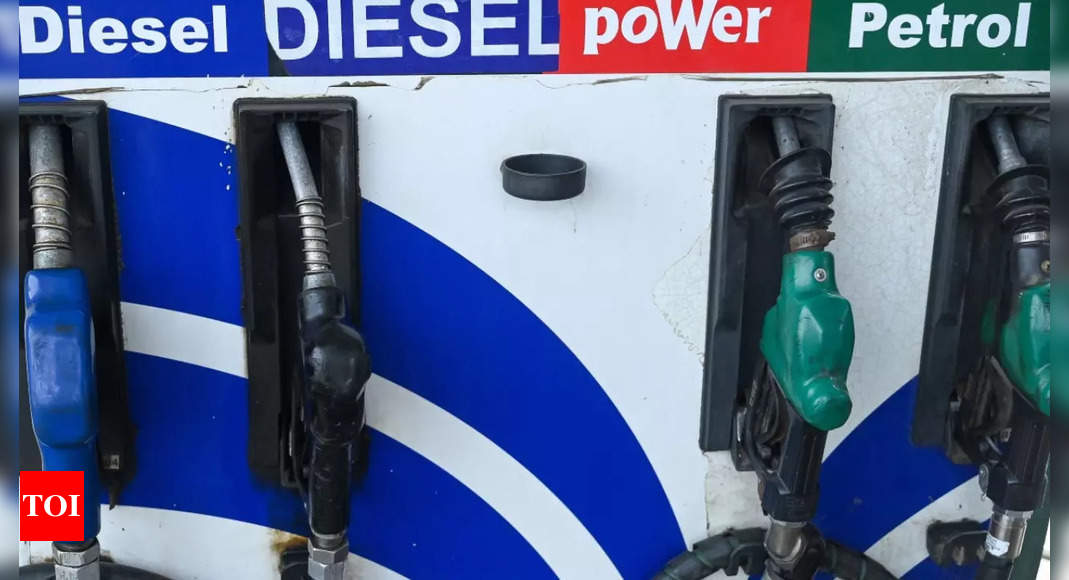 Fuel Duty Cut: Tamil Nadu, Kerala against reducing levies | India Business News