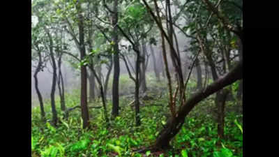 People's biodiversity register in Tamil Nadu has not been validated