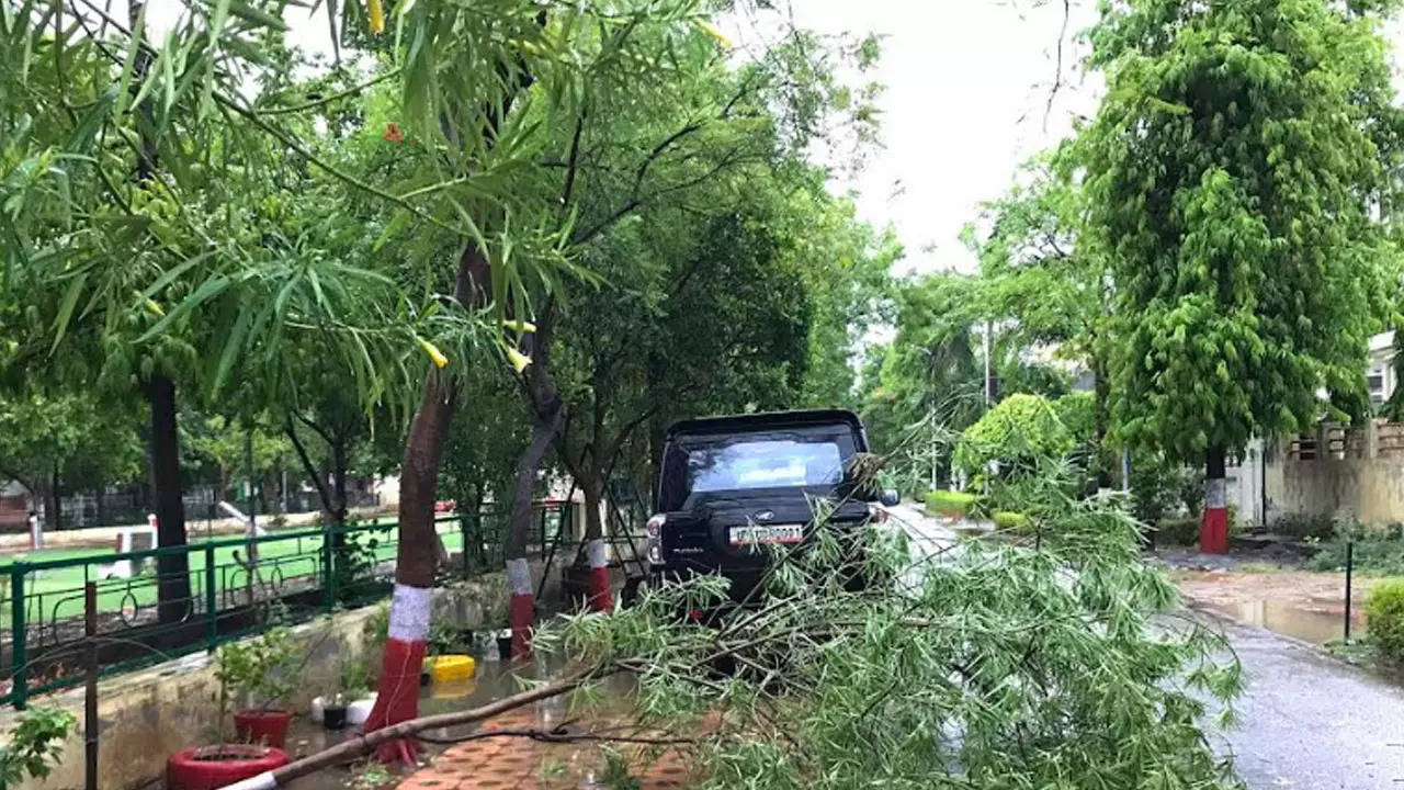 Heavy rain in Noida & Ghaziabad leaves several trees uprooted, traffic  affected | Noida News - Times of India