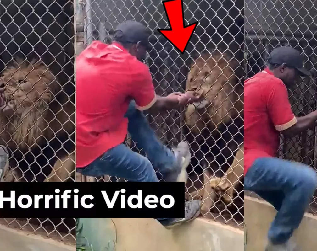 
Viral video: Lion bites off zoo worker’s finger after he sticks his hand into cage
