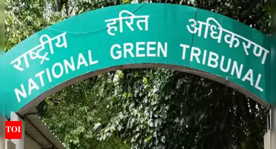 NGT gives clearance to Amravati Enclave of Panchkula Chandigarh News