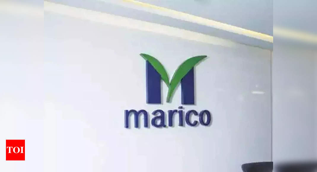 marico:  Marico Buys 54% Stake In Parent Co Of True Elements | Chennai News – Times of India