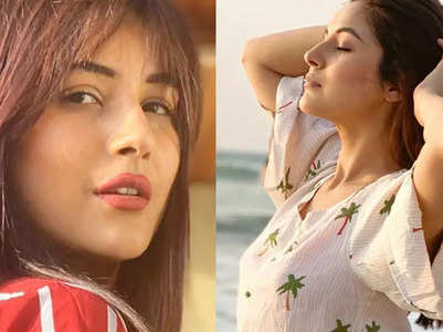 Shehnaaz Gill's top sun-kissed pictures