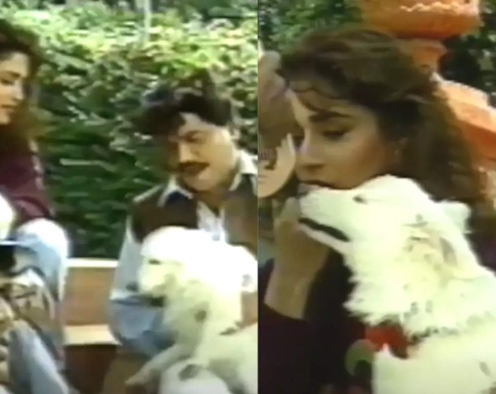 
Fans remember late Laxmikanth Berde as BTS video of Madhuri Dixit with doggo Tuffy from 'Hum Aapke Hai Kaun' goes viral
