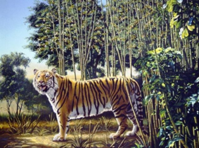 Optical illusion: Spot the hidden tiger in this image