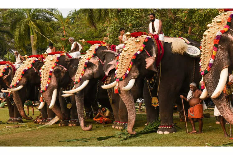 Celebrate the festival of Onam