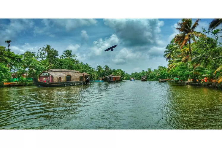 Go on a lake tour