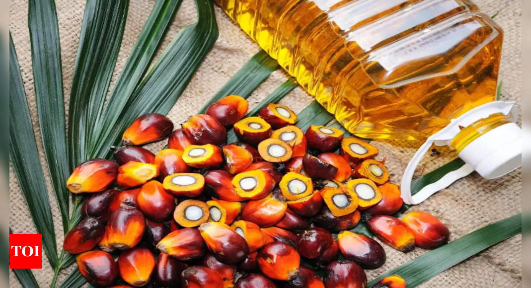 Palm oil imports could fall to 11-yr low: Report