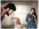 Even those who don't have pet will start loving them: '777 Charlie' director Kiran Raj