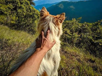Tips to keep in mind when walking your dog in mountains