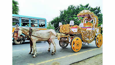 Spare horses and bring in e-carriages, animal protection groups urge CM