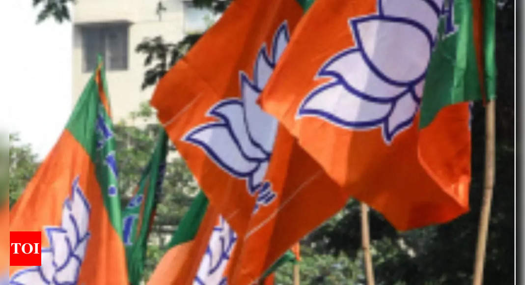 bjp:   BJP brass meets, plans big celebration to mark 8 years of Modi-led govt | India News – Times of India