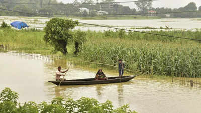 Toll climbs to 28, over Rs 5.75 lakh in grip of floods in Assam