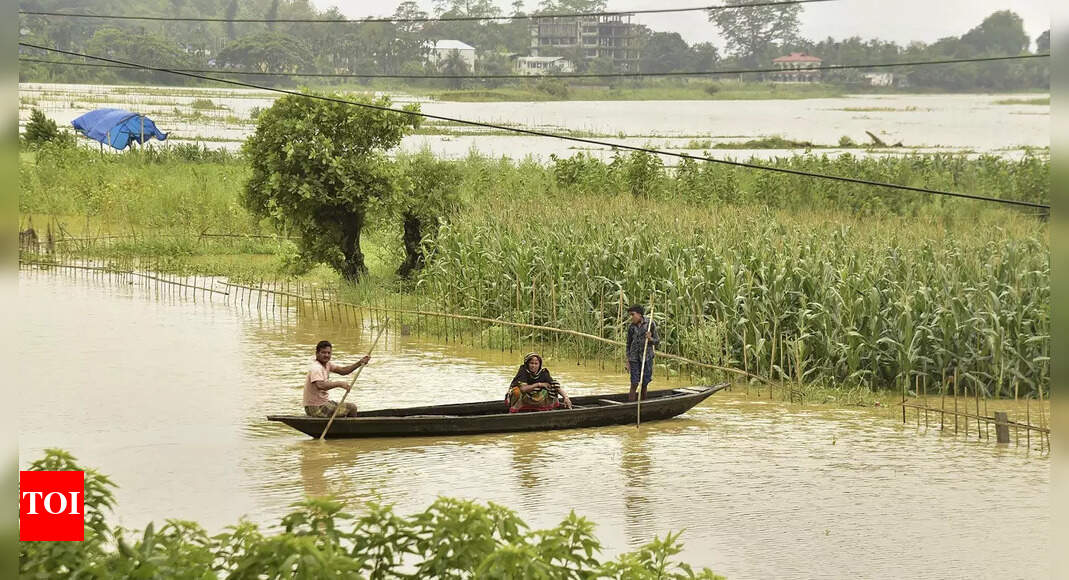 Toll climbs to 28, over Rs 5.75 lakh in grip of floods in Assam