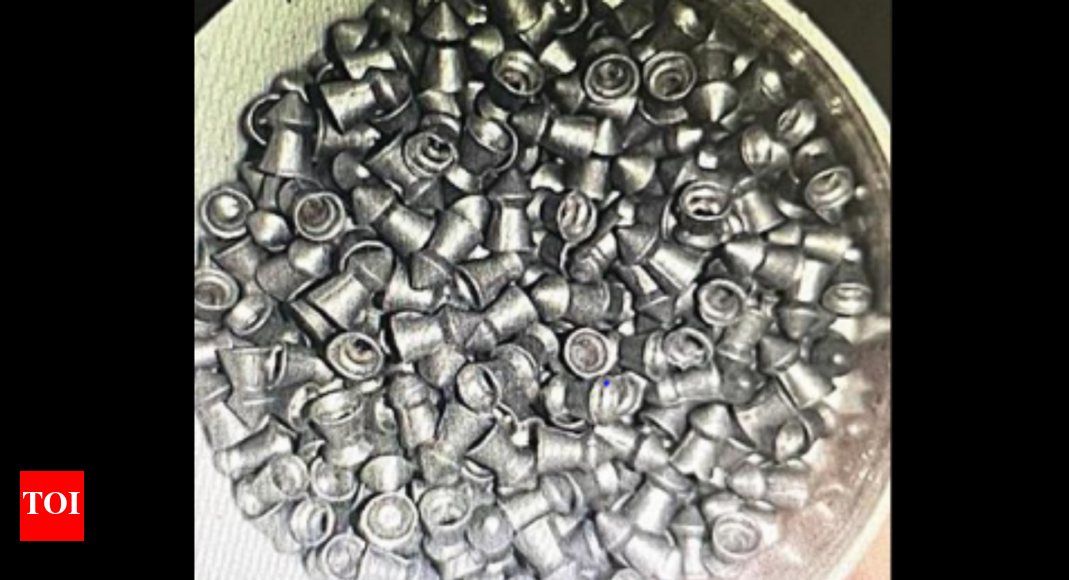 Customs Producer Held For Import Of Prohibited Air Gun Pellets Mumbai News Times of India