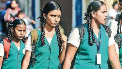 State Schools Set To Reopen On June 13 After Summer Vacay Chennai News Times Of India