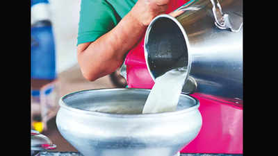 Detergent Found In Milk, Animal Fat In Ghee | Agra News - Times of India