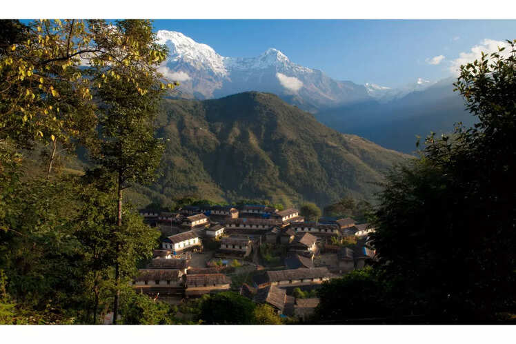 Phulchowki