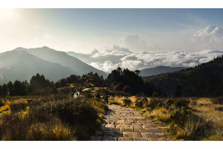 Poon Hill Trek