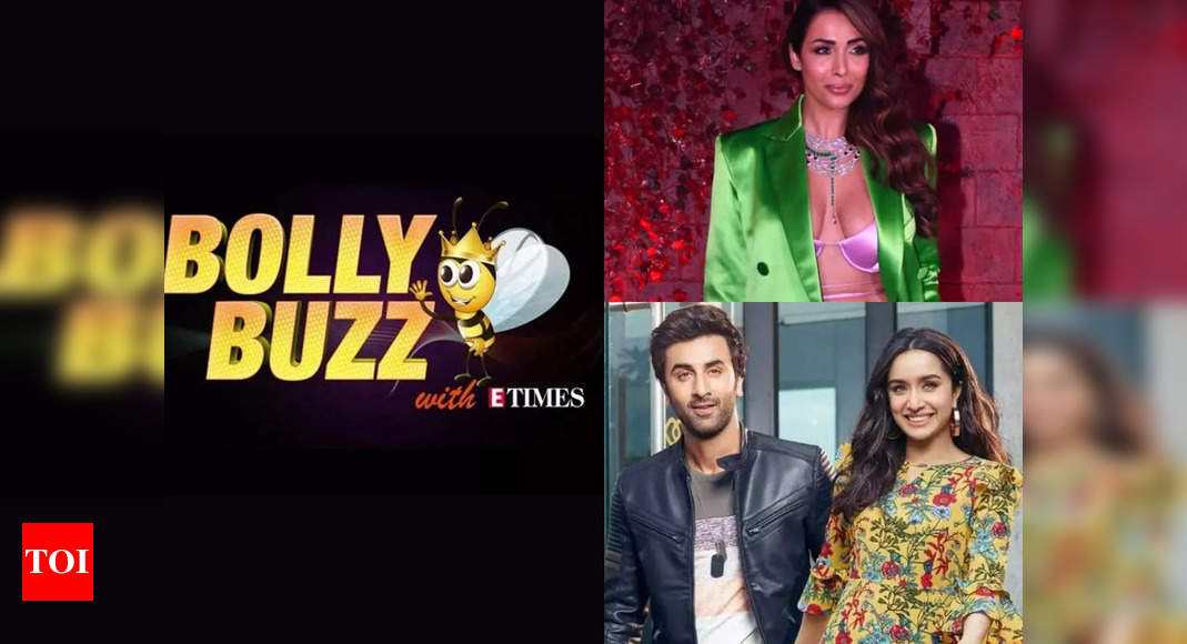Bolly Buzz: Malaika Arora brutally trolled for her collection of style; Ranbir-Shraddha to commute to Spain | Hindi Film Information