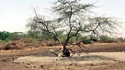 Chained to tree for 8 years, 'violent' Gujarat man, 22, to break 'free' finally