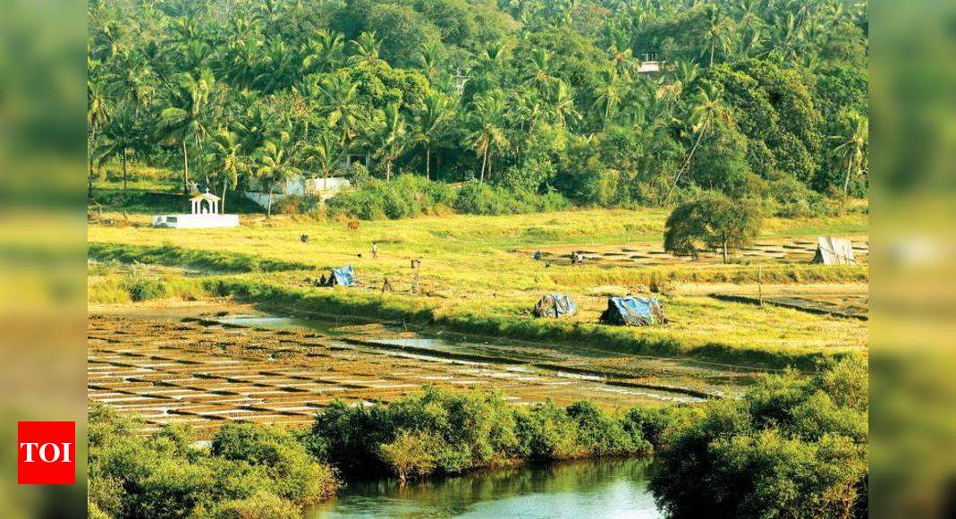 ‘2.2 lakh sqm agri land in North Goa made settlement’