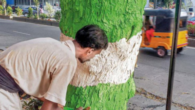 Following Indore, Chennai civic body paints trees to reduce accidents