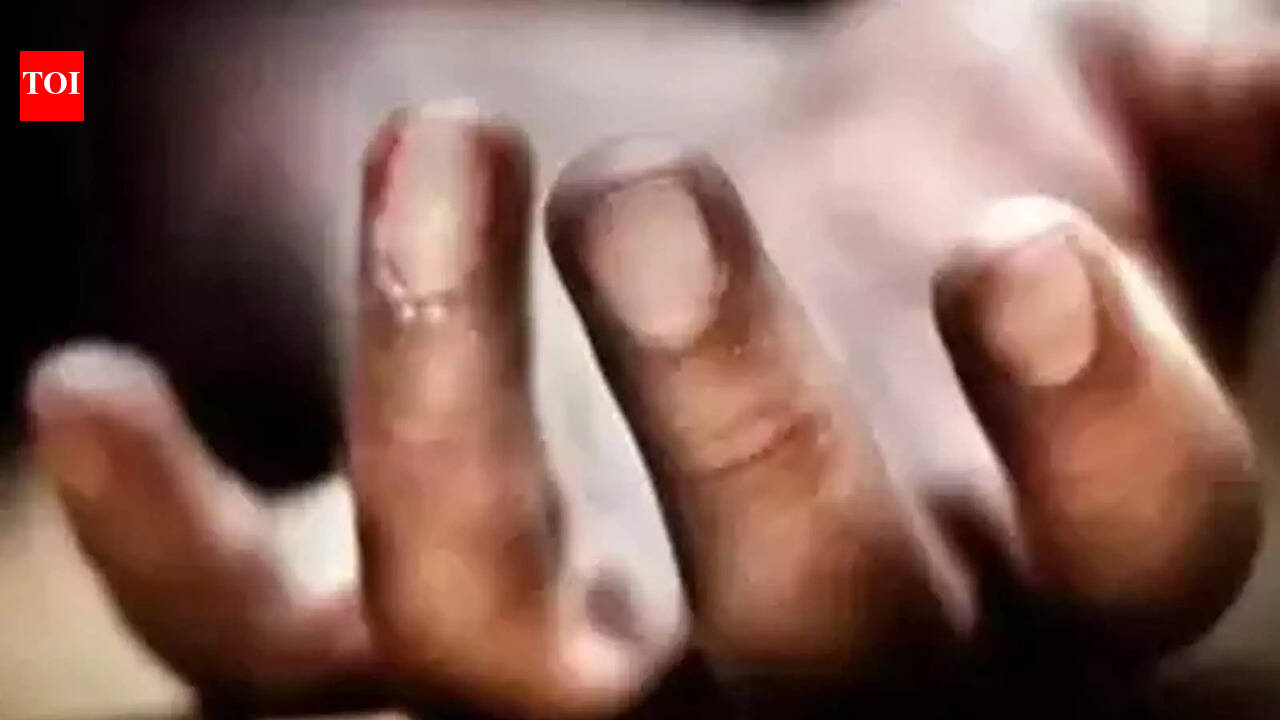 Karnataka: Woman dies by suicide, family, Hindu outfits allege 'love jihad'